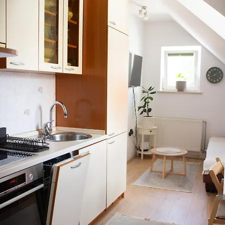 Urban Jungle 2 - Free Parking Ljubljana