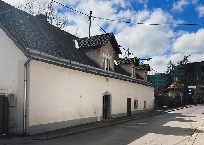 Urban Jungle 2 - Free Parking Apartment *