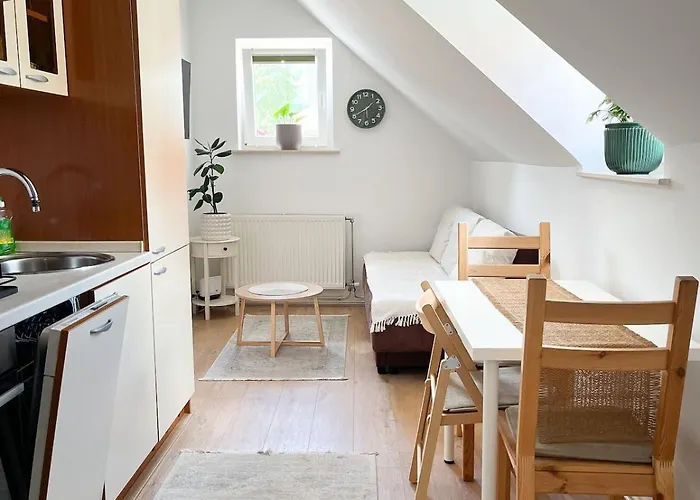 Urban Jungle 2 - Free Parking *