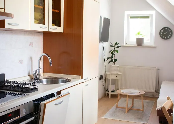 Urban Jungle 2 - Free Parking Ljubljana